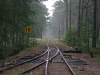 IMG10999