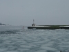 img10569