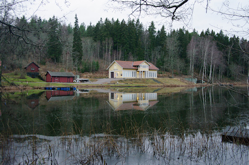 IMG10019 IMG10019