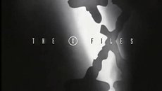 Thexfiles