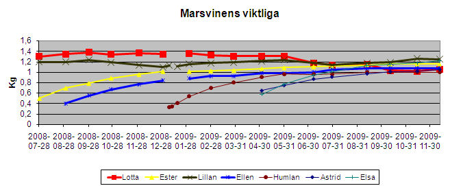 gp-weight-09