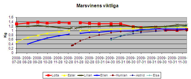 gp-weight-09